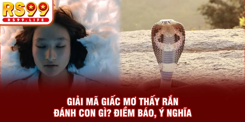 Giải Mã Bí Ẩn Giấc Mơ Thấy Rắn Đánh Con Gì? Điềm Báo Ý Nghĩa