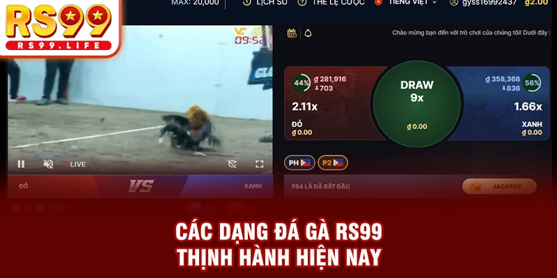 Các dạng đá gà RS99 thịnh hành hiện nay